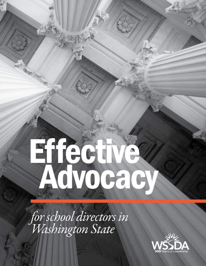 Book Cover of Effective Advocacy 2022