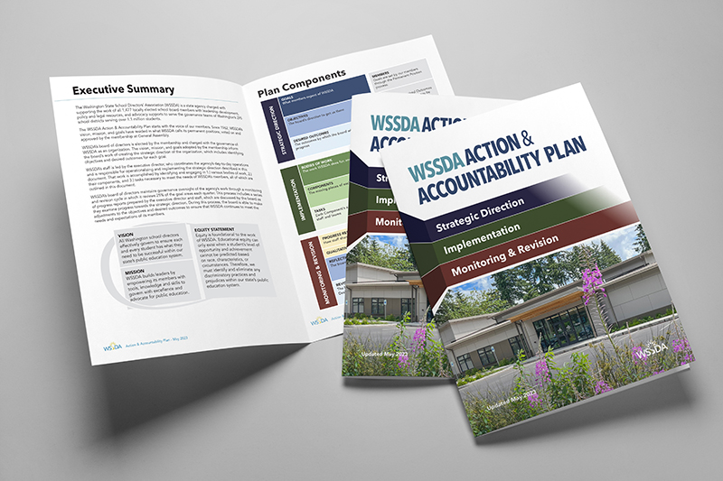 Action & Accountability booklet mockup.